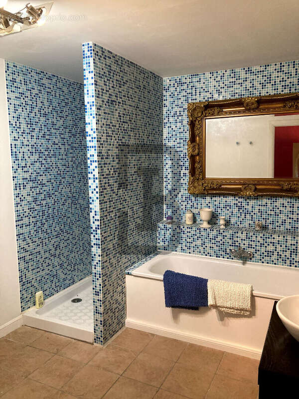 Maison à ESPERAZA