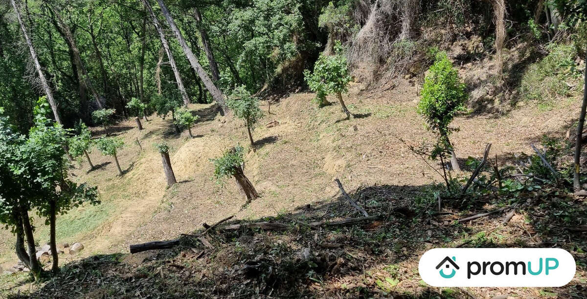 Terrain à GORBIO