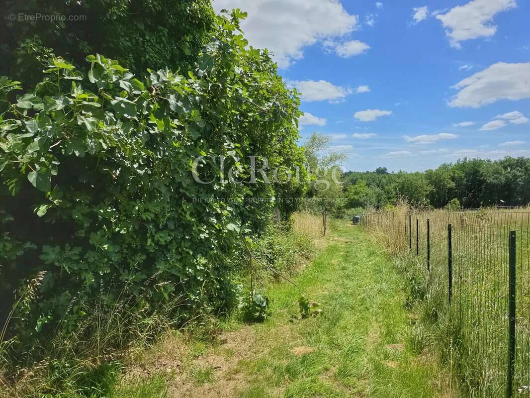 Belle propriété équestre clé en main sur 1,7 hectare au cœur de la campagne girondine - photo 23