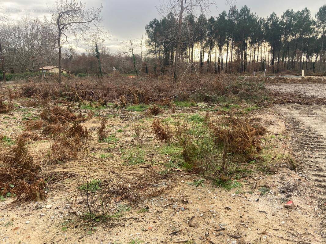 Terrain à BISCARROSSE