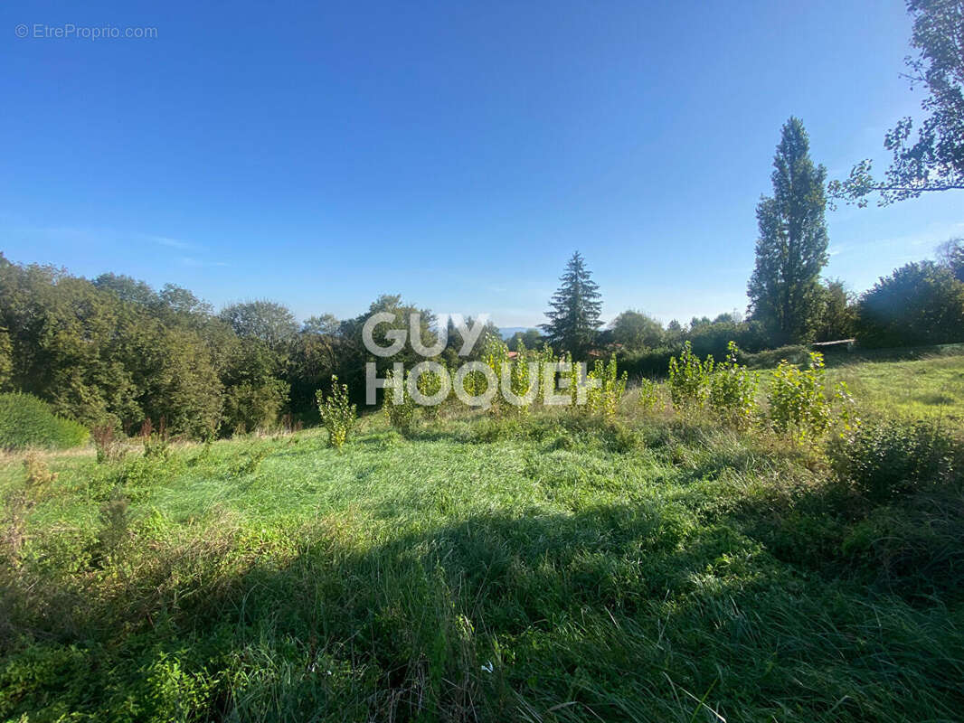 Terrain 1320 m² proche d'Orthez direction Pau - photo 5