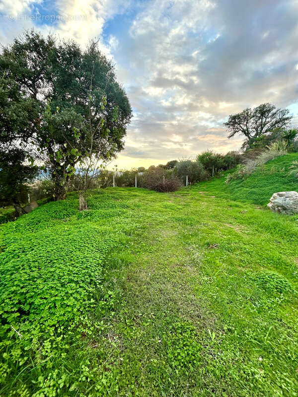 Maison à GROSSETO-PRUGNA
