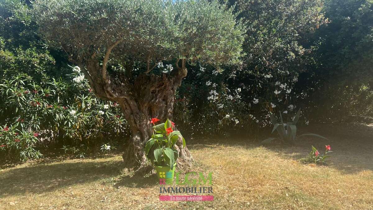 Maison à SAINT-PRIVAT-DES-VIEUX