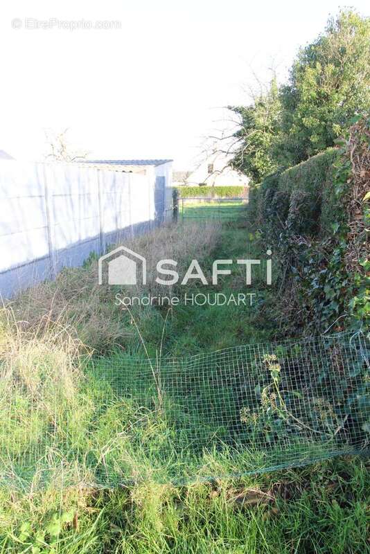 Photo 3 - Terrain à SAINT-PIERRE-DU-REGARD