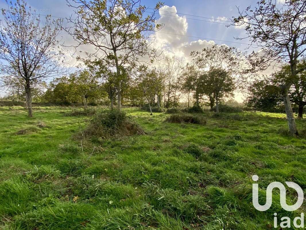 Photo 4 - Terrain à SAINT-HILAIRE-DE-VOUST