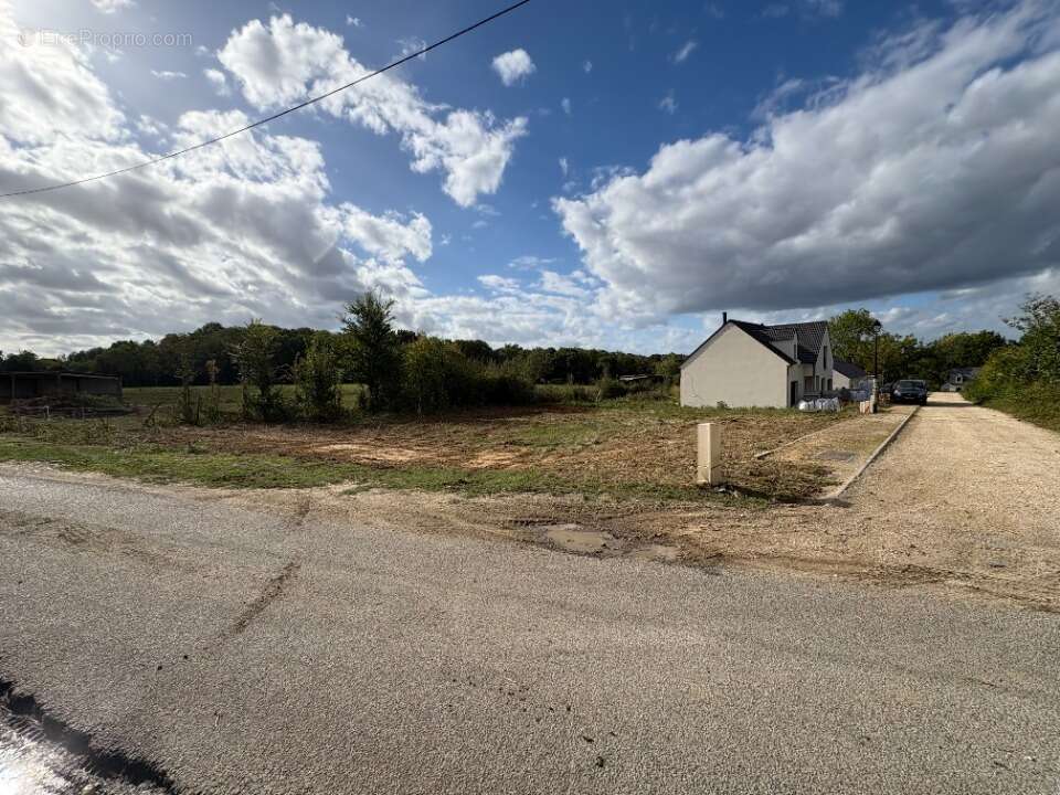 Terrain à SOIGNOLLES-EN-BRIE