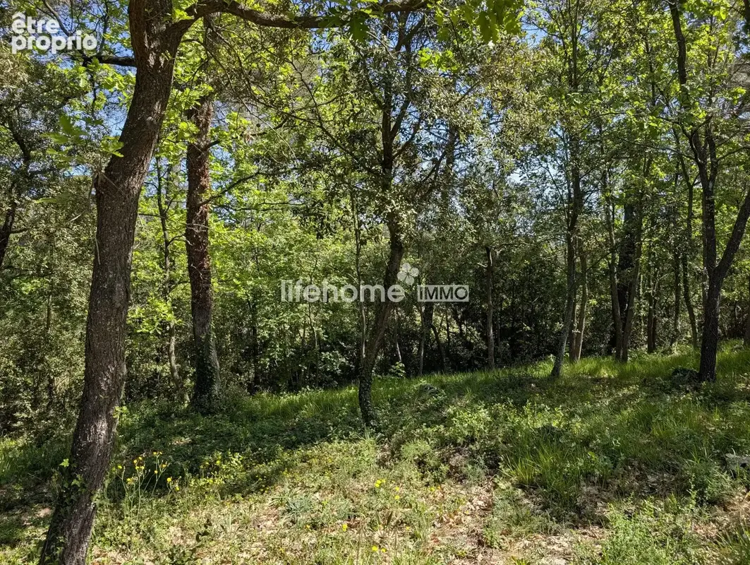 Terrain 29 121 m² à vendre à Le Luc (83340) - photo 4