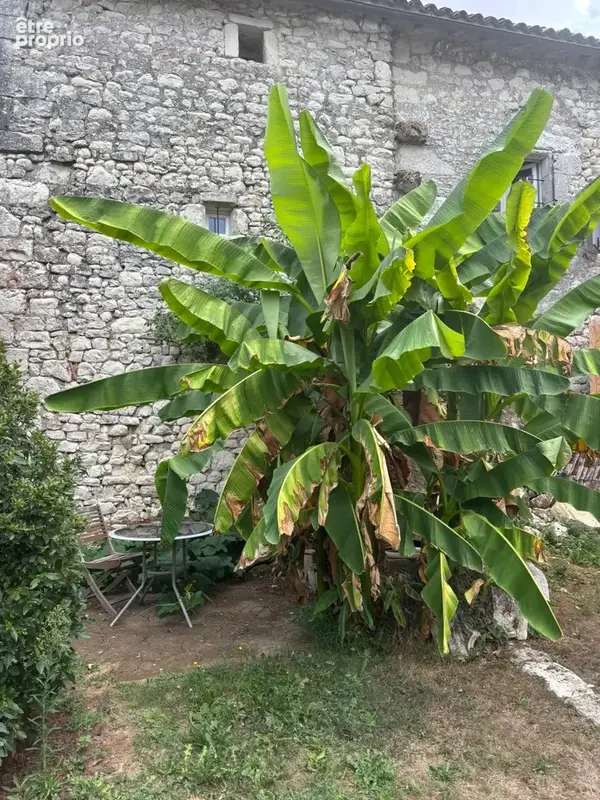 Maison de village en pierre - photo 2
