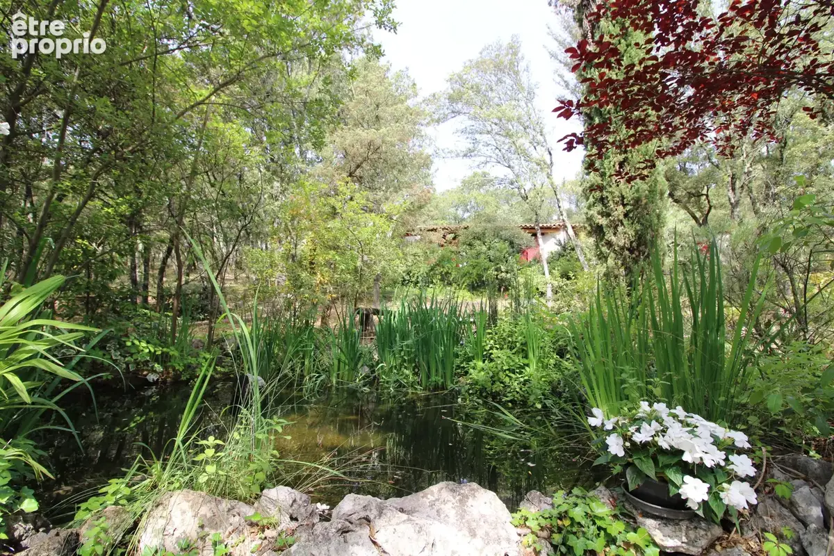  MAS 750 m2. Terrain 7 Hectares. - photo 100