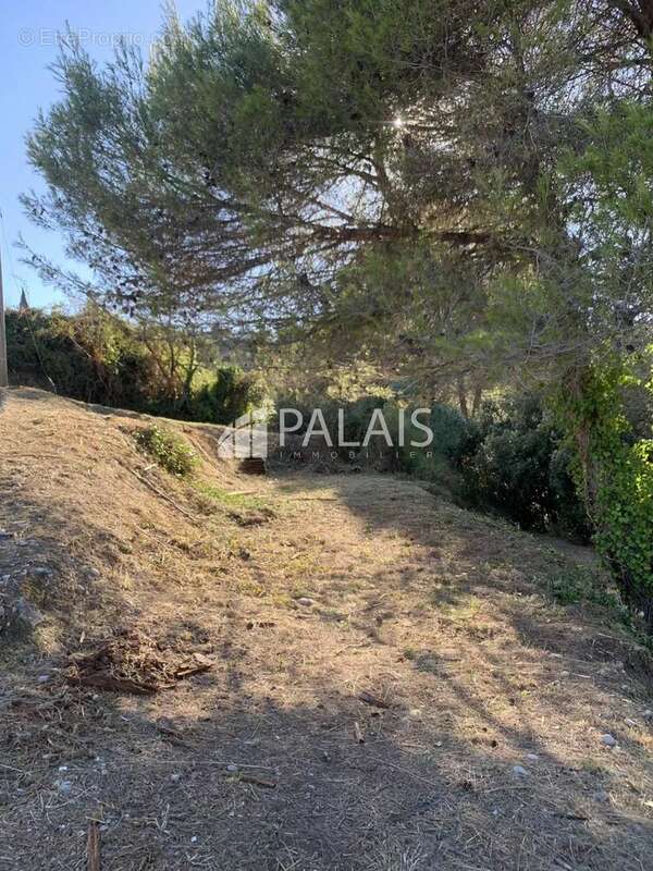 Terrain à NICE