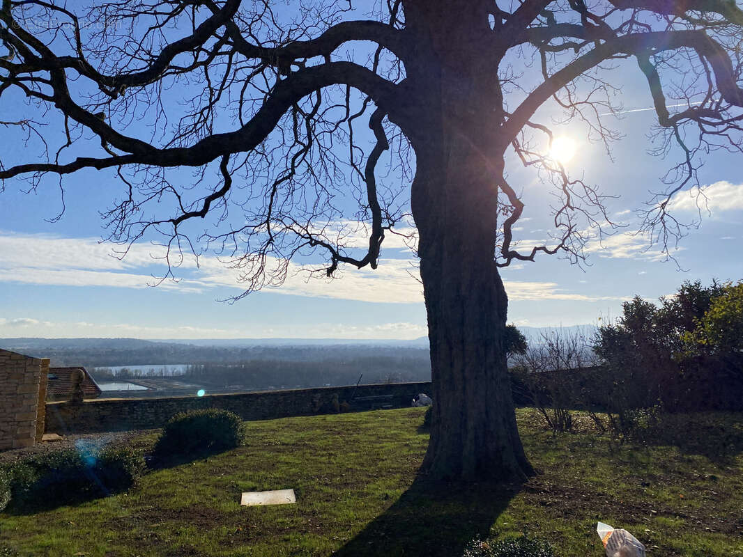 Maison à VILLEFRANCHE-SUR-SAONE