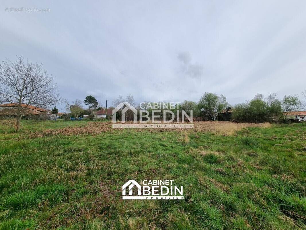Terrain à BISCARROSSE