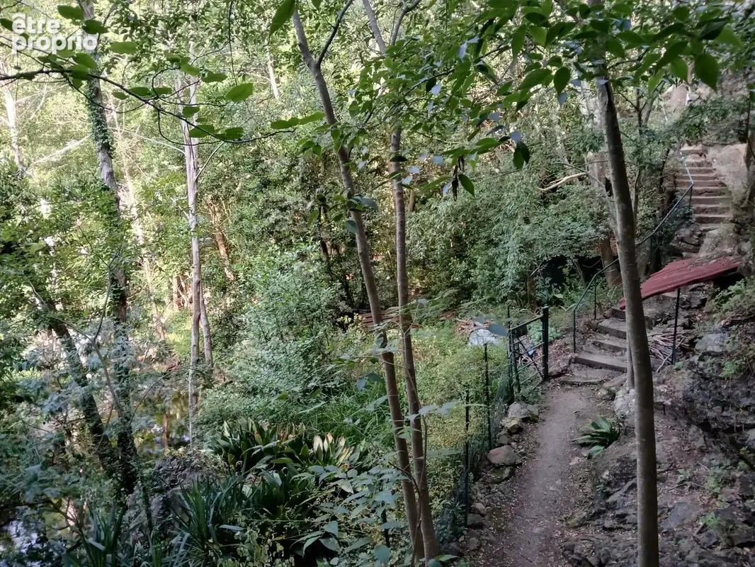 Mas en pierre à Reynes - photo 21