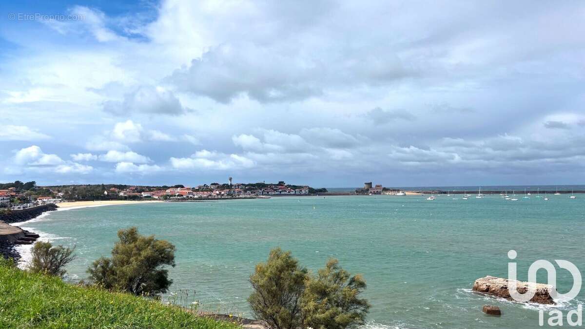 Photo 9 - Appartement à CIBOURE