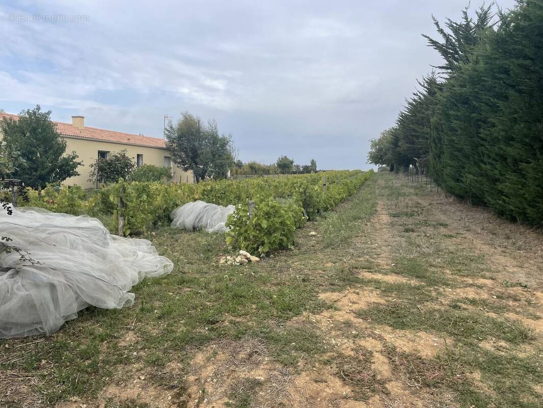 Terrain à SAINT-AUBIN-LA-PLAINE