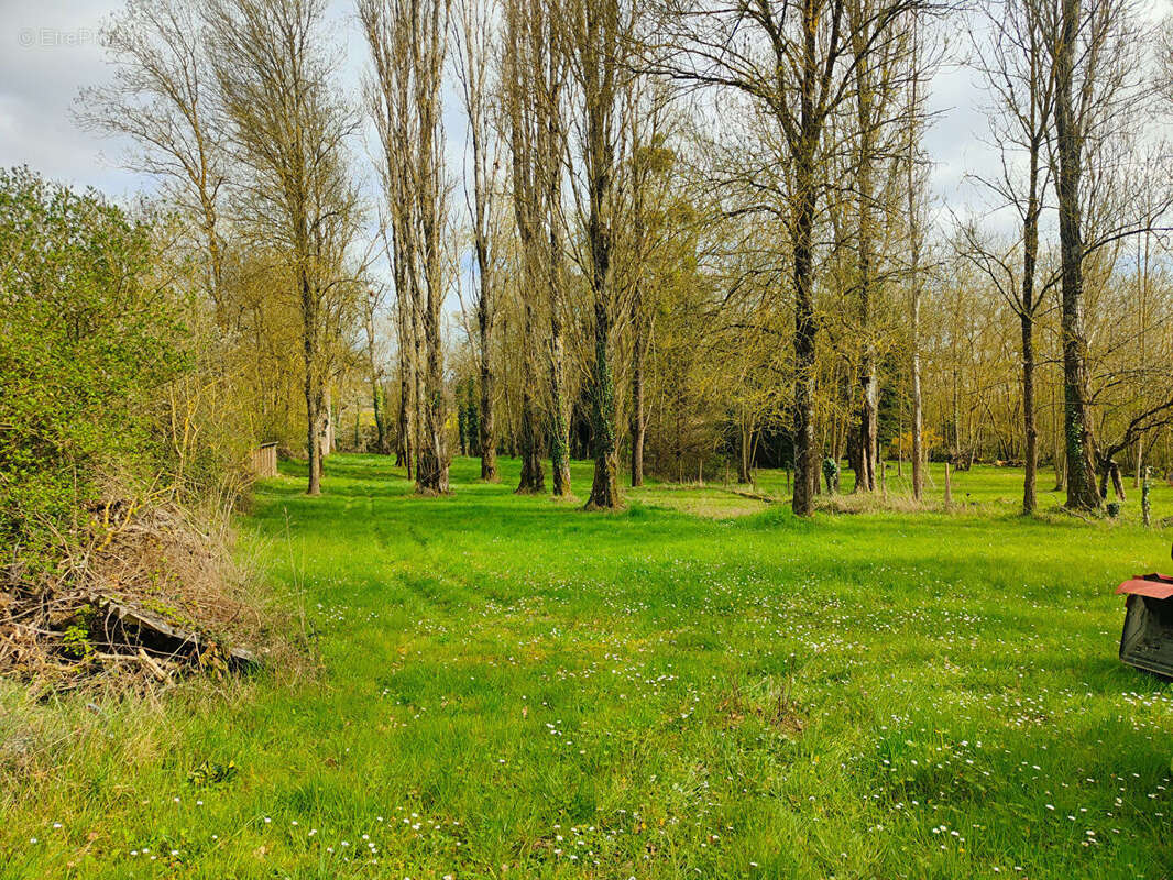 Terrain à SAINT-REMY-SUR-CREUSE