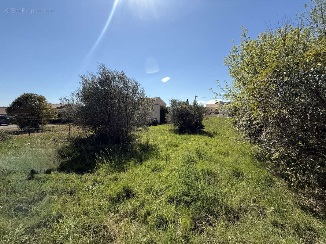 Terrain à MONTPEYROUX