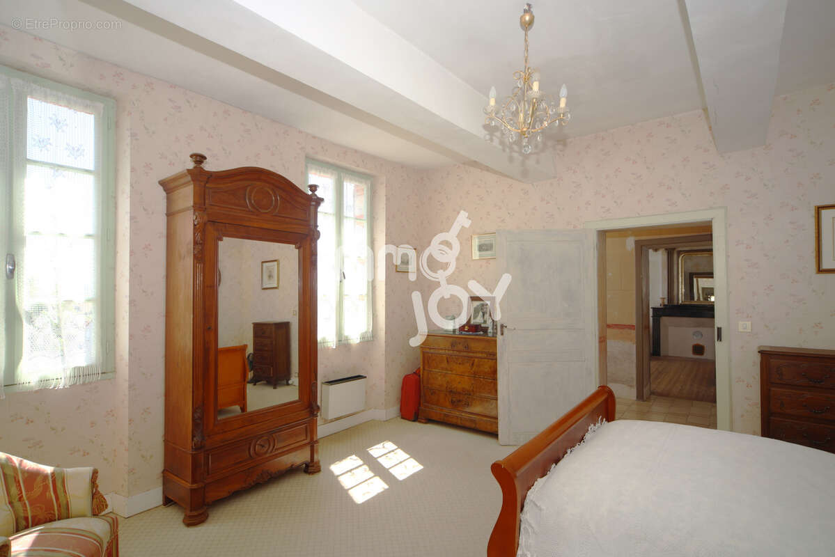 Vue Pyrénées, maison de Maitre, 200m2, nombreuses dépendances. - photo 10
