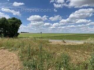 Terrain à SAINTE-SOULLE