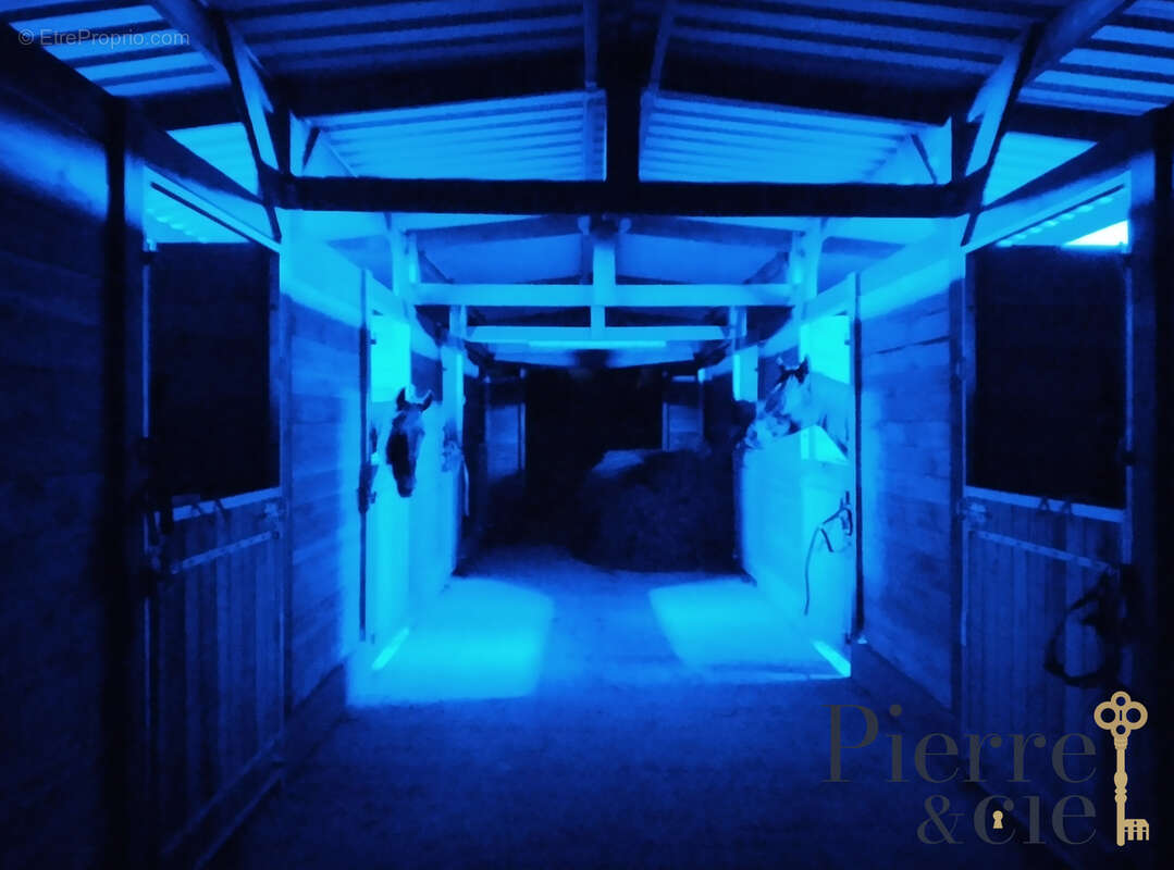 Maison à SAINT-SAUVEUR-DE-CARROUGES