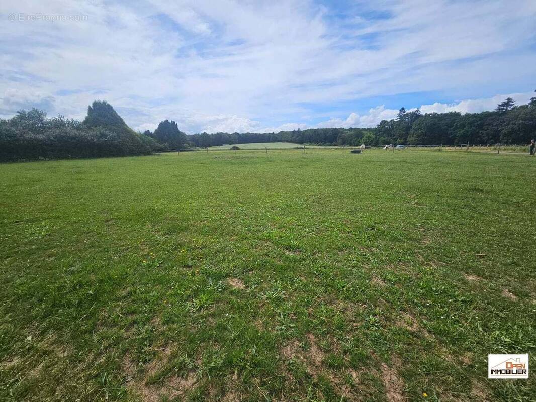 Terrain 3001 m² à Linards  - photo 1