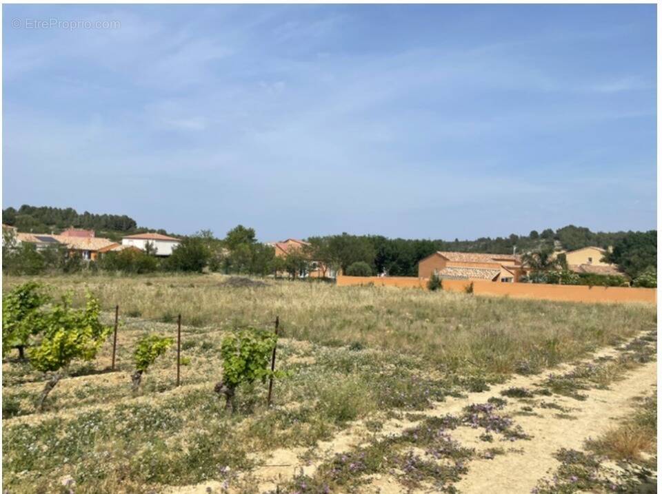 Terrain à PORTEL-DES-CORBIERES