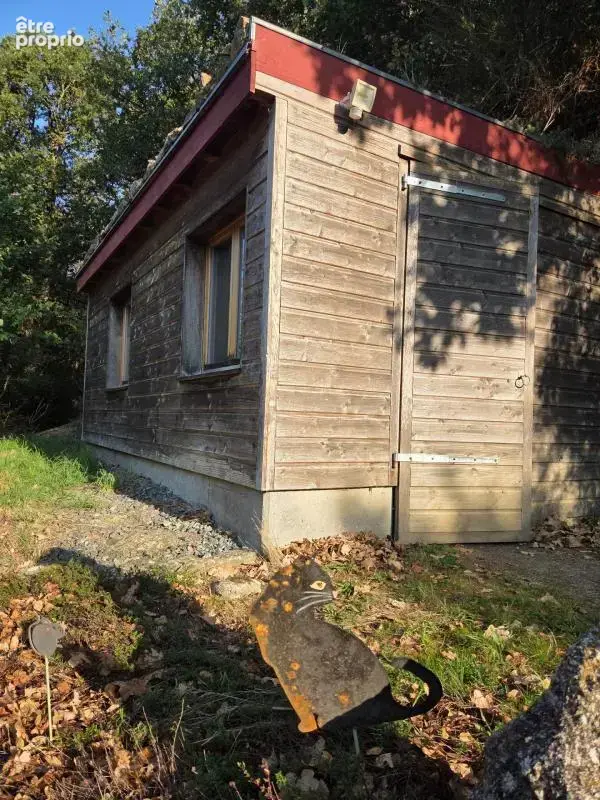 Ancien moulin et maison - 4 hectares - photo 13