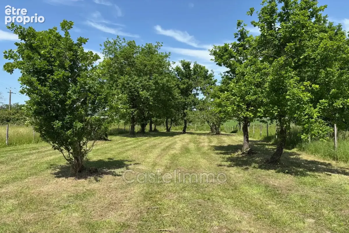 Maison 148 m² à Saint-Nicolas-De-La-Grave  - photo 4