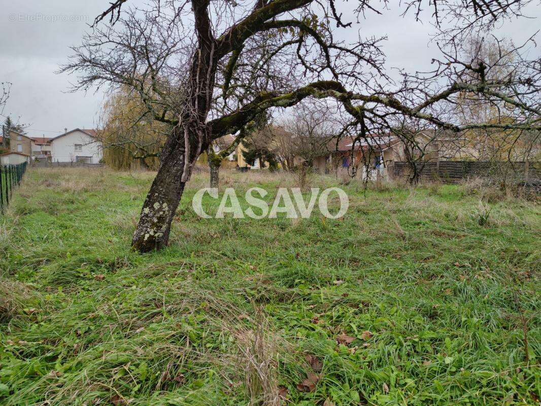 Maison à AMBERIEU-EN-BUGEY