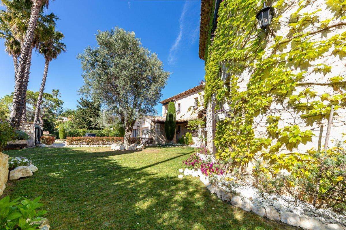 Saint Paul de Vence belle propriété au calme 6 chambres - photo 4
