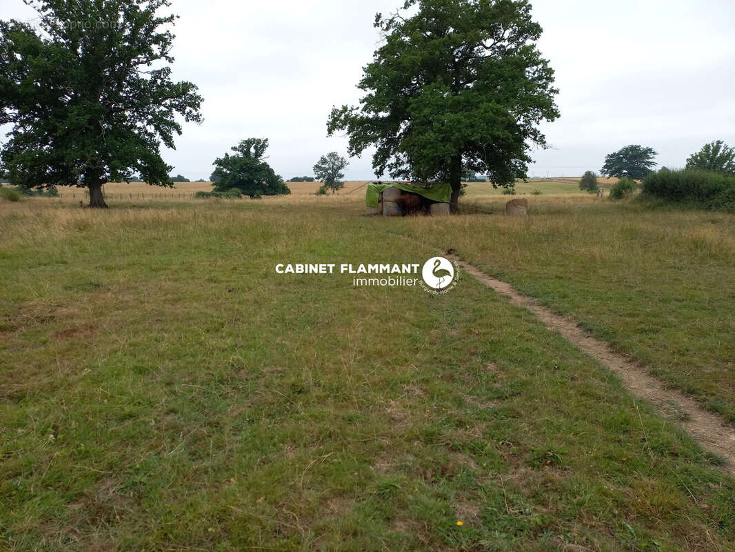 Terrain 3048 m² à Semur-En-Auxois  - photo 4