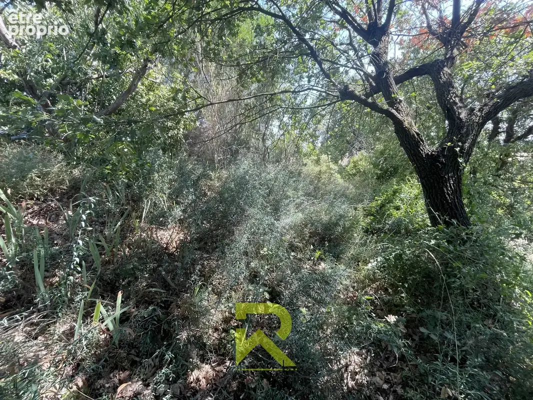Terrain 1 000 m² à vendre à Caux (34720) - photo 2