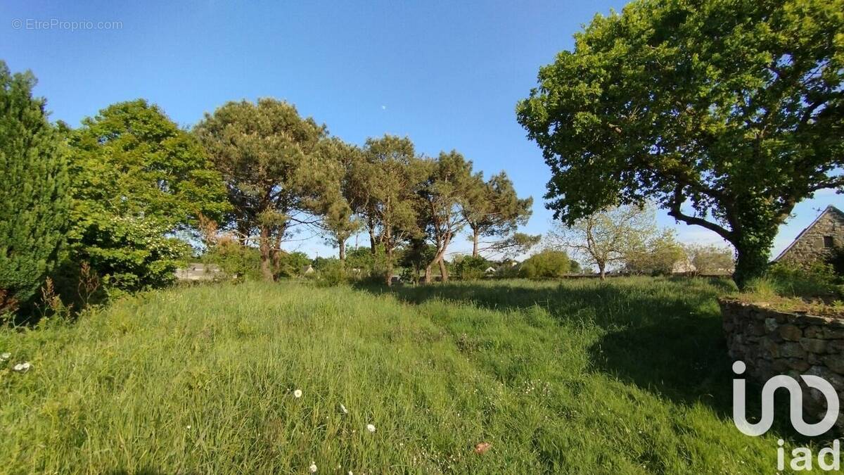 Photo 1 - Terrain à PLOUEZOC'H