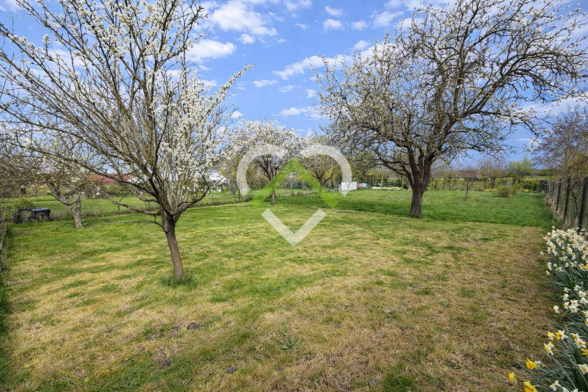 Maison à VILLENEUVE-D'ASCQ