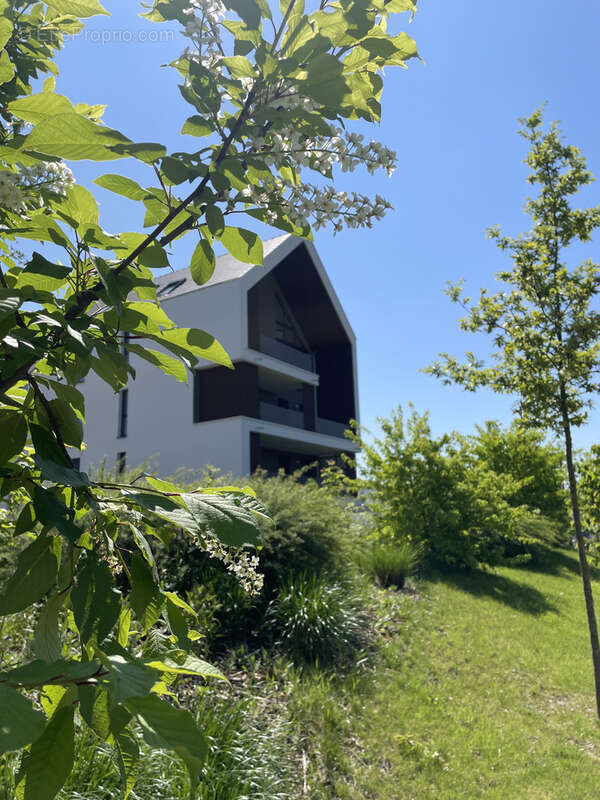 Appartement à VENDENHEIM