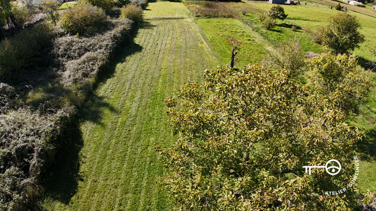 Maison à LA MAROLLE-EN-SOLOGNE