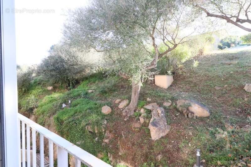 Pour investisseur beau T2 dans résidence classée"3 étoiles"en Corse du Sud (20) - photo 7