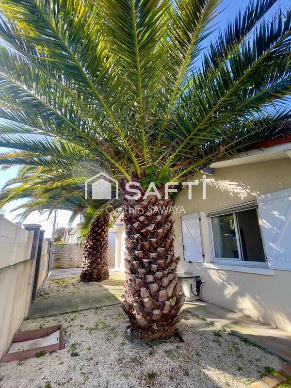 Photo 1 - Maison à LA TESTE-DE-BUCH