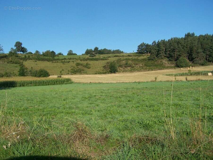 Terrain à YSSINGEAUX