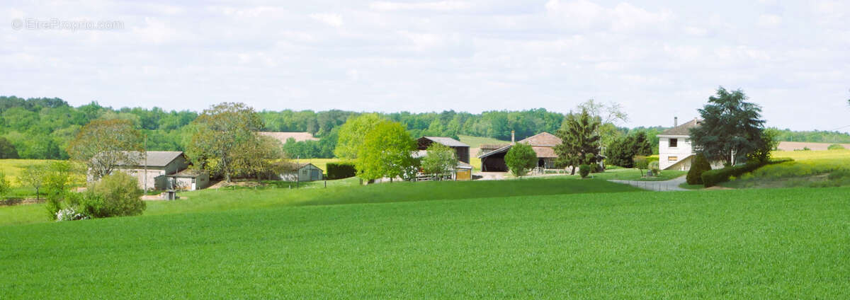 Propriété composée de plusieurs maisons - photo 2