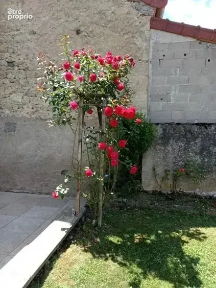 Maison F4 à Étroussat avec jardin - photo 16
