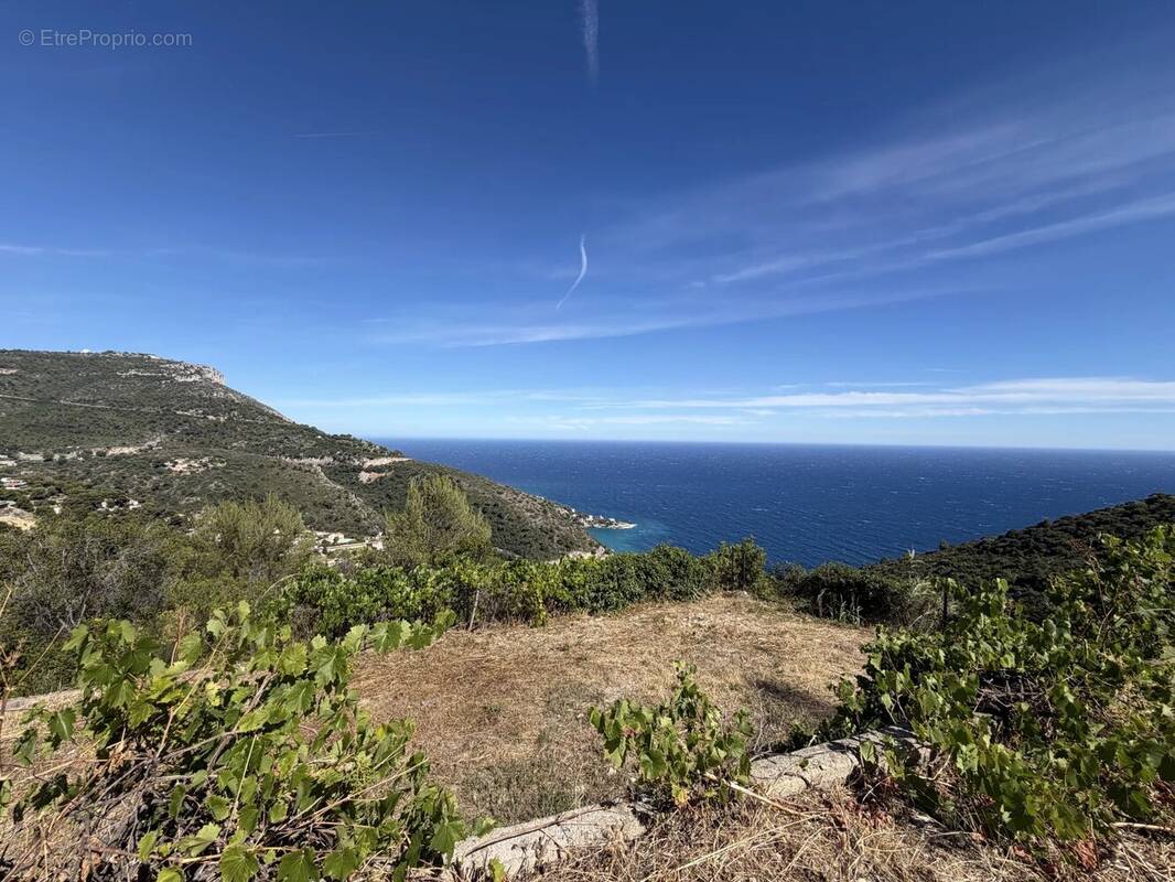 Terrain à EZE