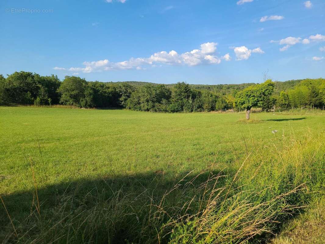 Photo 6 - Maison à MONTGESTY