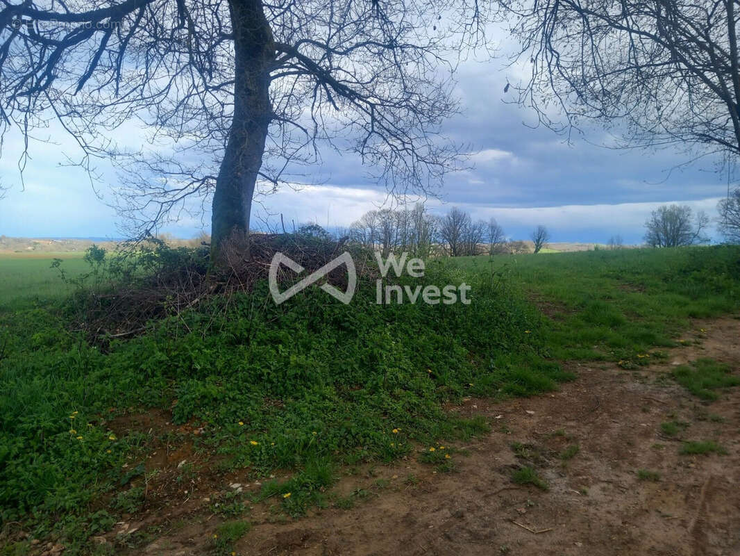 Terrain 2558 m² à Parisot  - photo 4