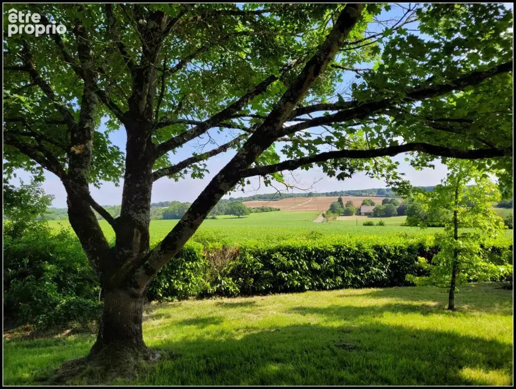 Plain-pied, jardin arboré, garage, vue, charme, proximité village - photo 6