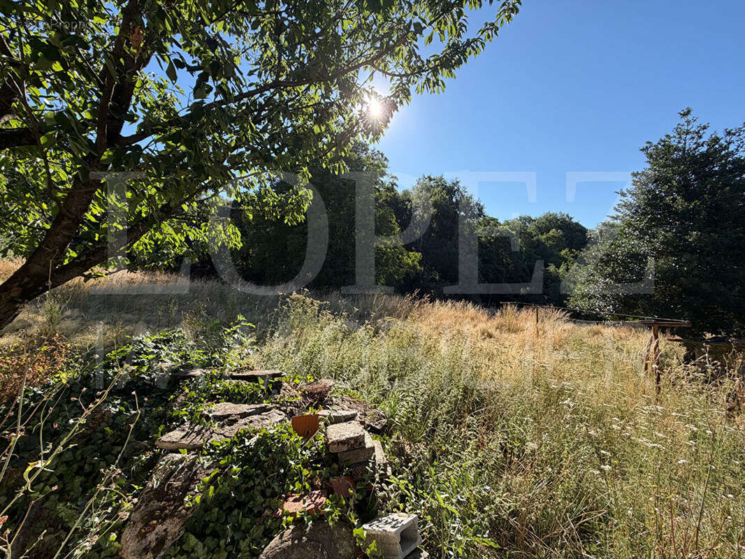 Maison Bout Du Pont De Larn 5 pièce(s) - photo 10