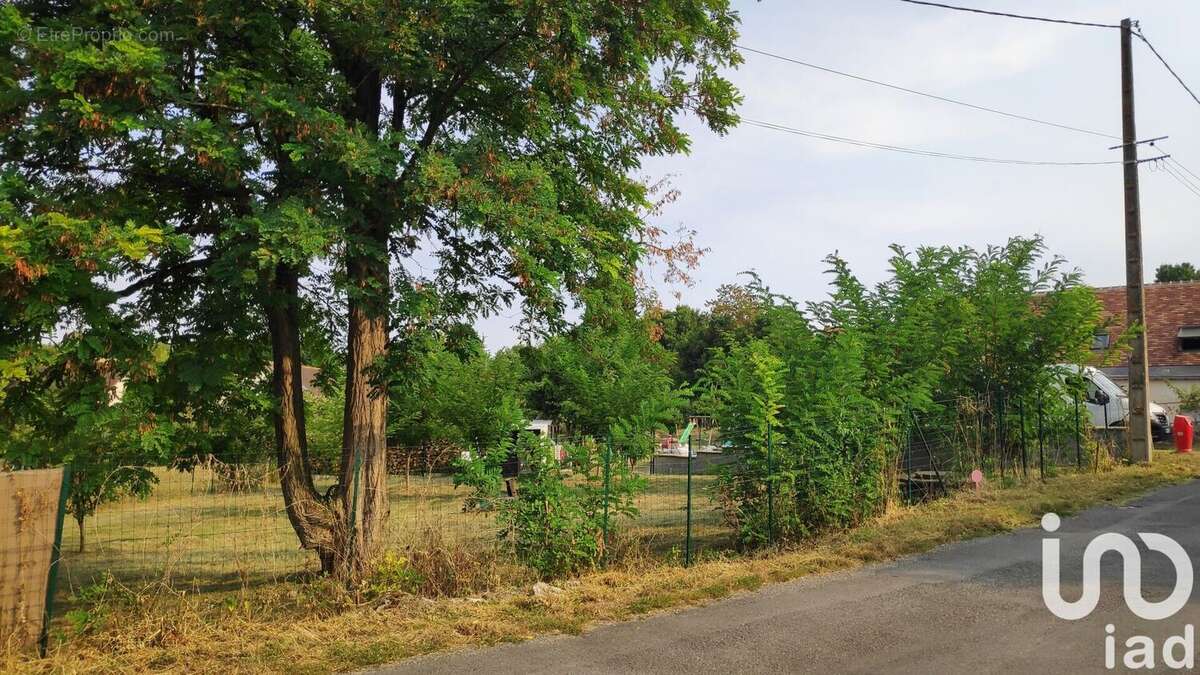 Photo 4 - Terrain à AZAY-LE-RIDEAU