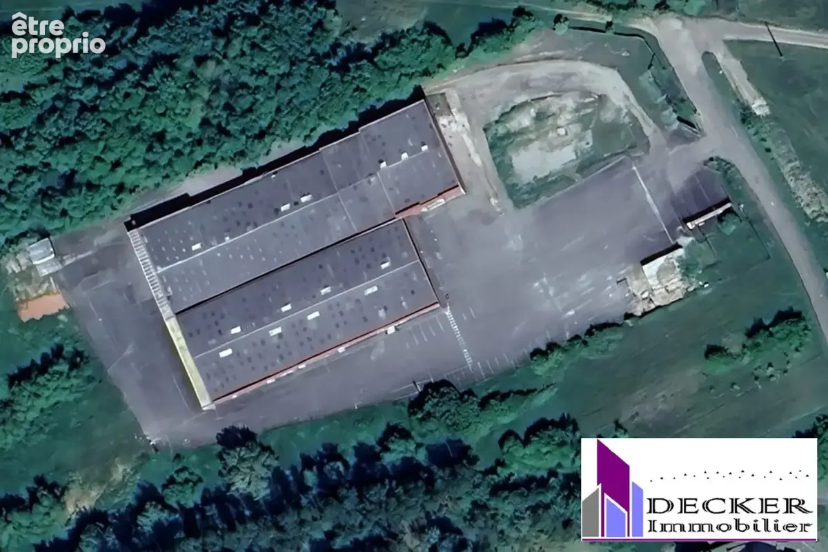 Commerce 4000 m² à Steinbourg  - photo 3