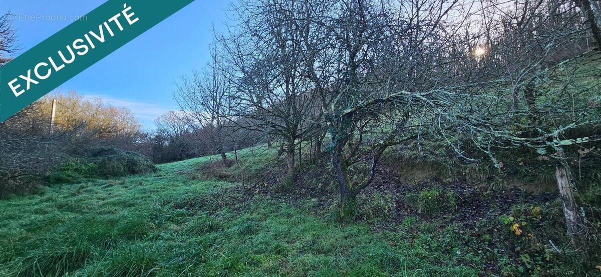 Photo 1 - Terrain à PUYCELCI