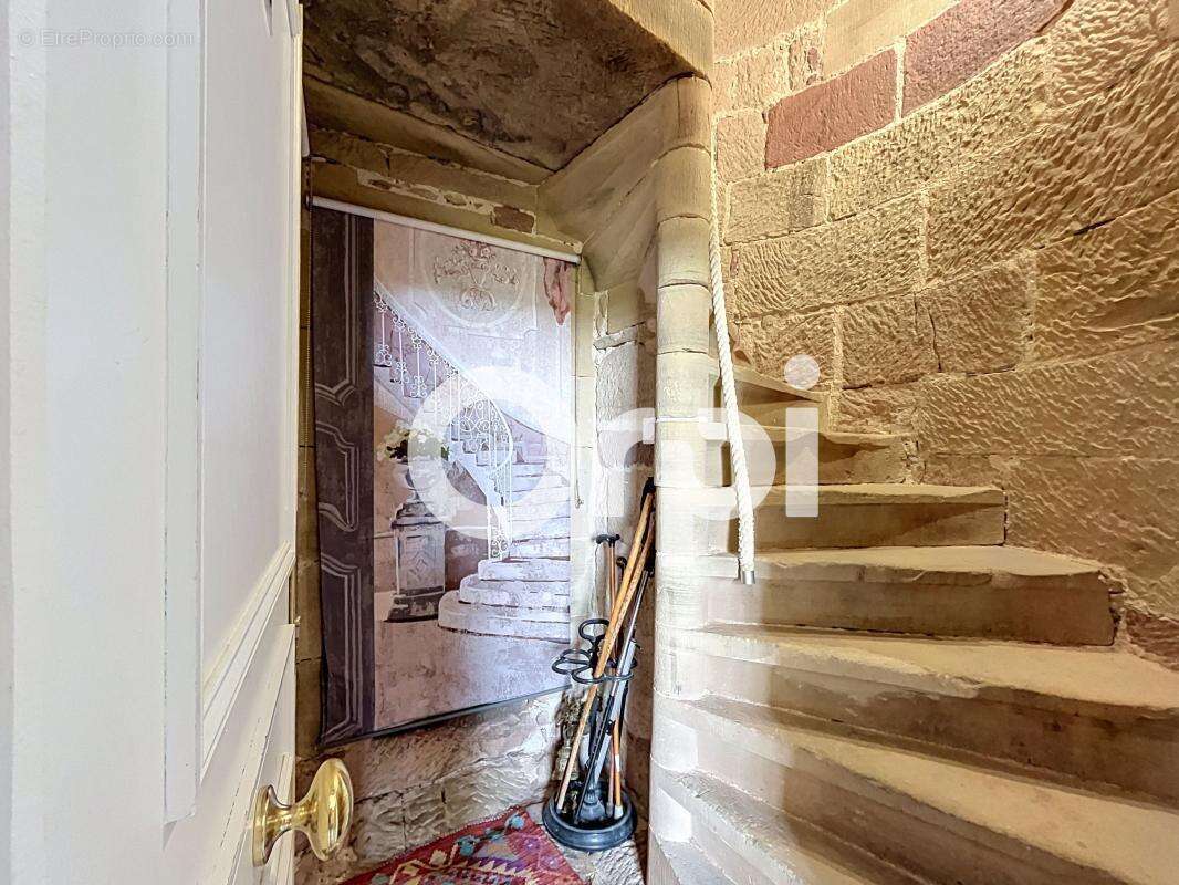 Triplex dans l'ancien - photo 3